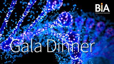 Gala dinner banner
